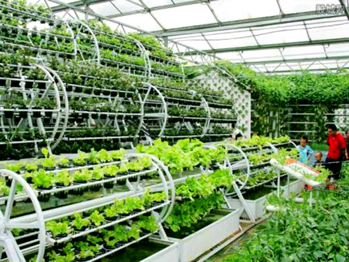 乐鱼网页版登录入口